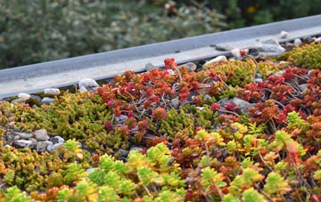 the cost of Braes Of Coul green roof installation