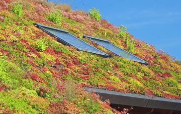 Braes Of Coul living roof systems