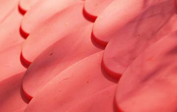 Braes Of Coul plastic roof costs