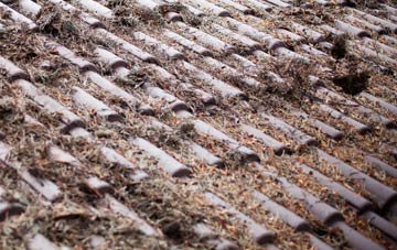 Braes Of Coul roof cleaning companies