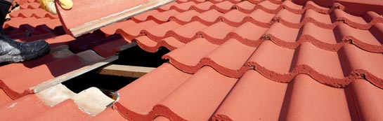 compare Braes Of Coul roof repair quotes