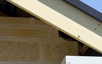 soffit repair Braes Of Coul