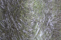 Braes Of Coul fibreglass roof work