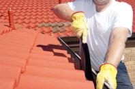Braes Of Coul roof cleaners
